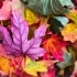 The Impact of Colors in Photography: A Guide to Creating Vibrant Visuals small image